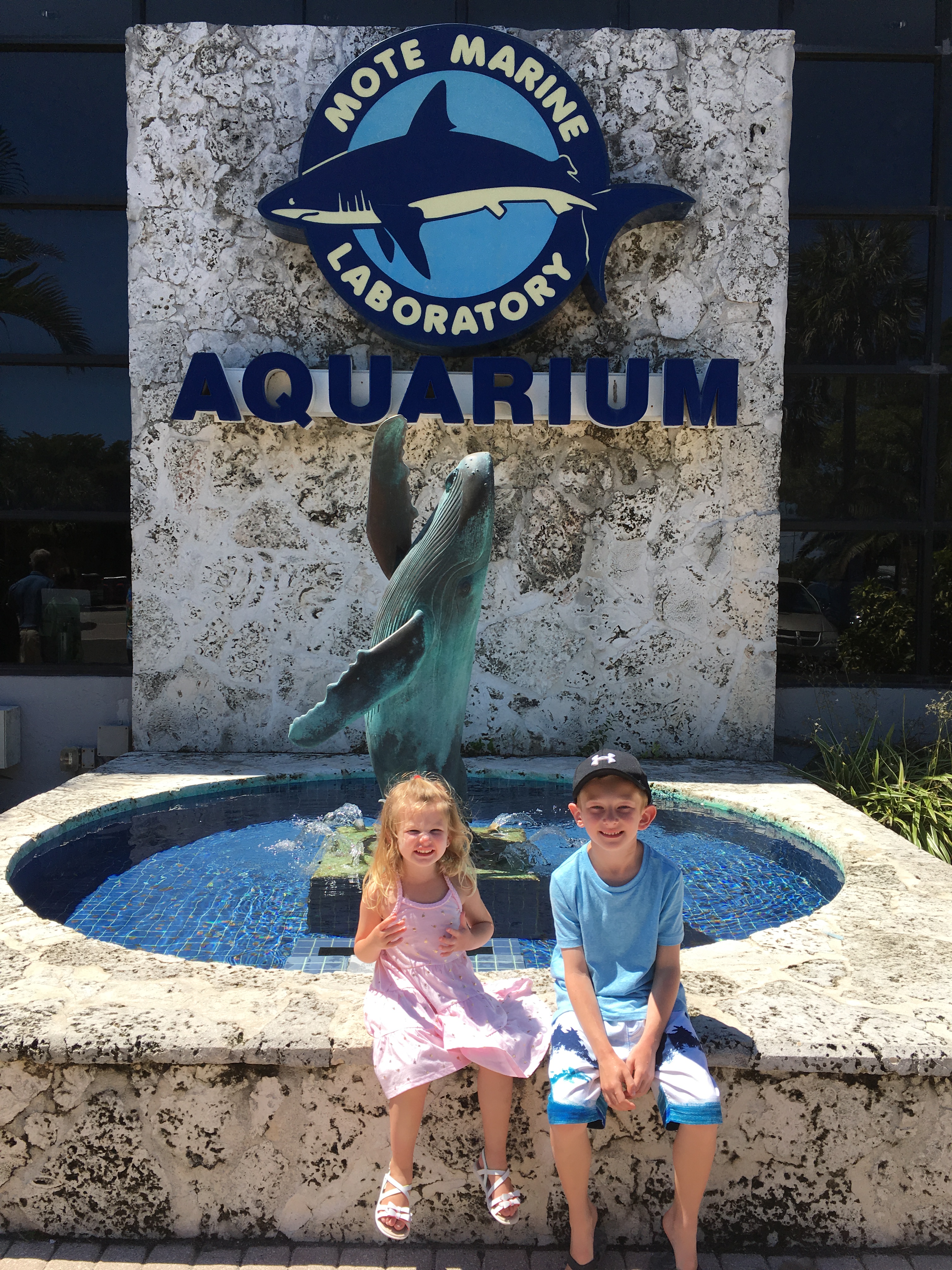 Our Visit to Mote Aquarium in Sarasota