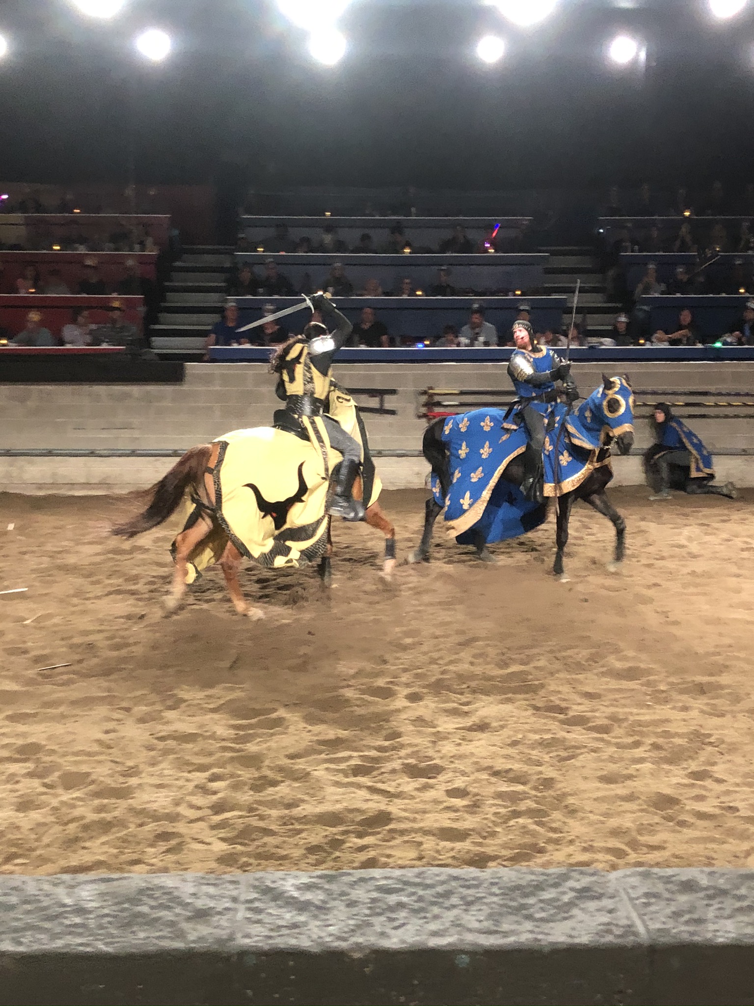 Medieval Times Dinner & Tournament review on Livin' Life with Style