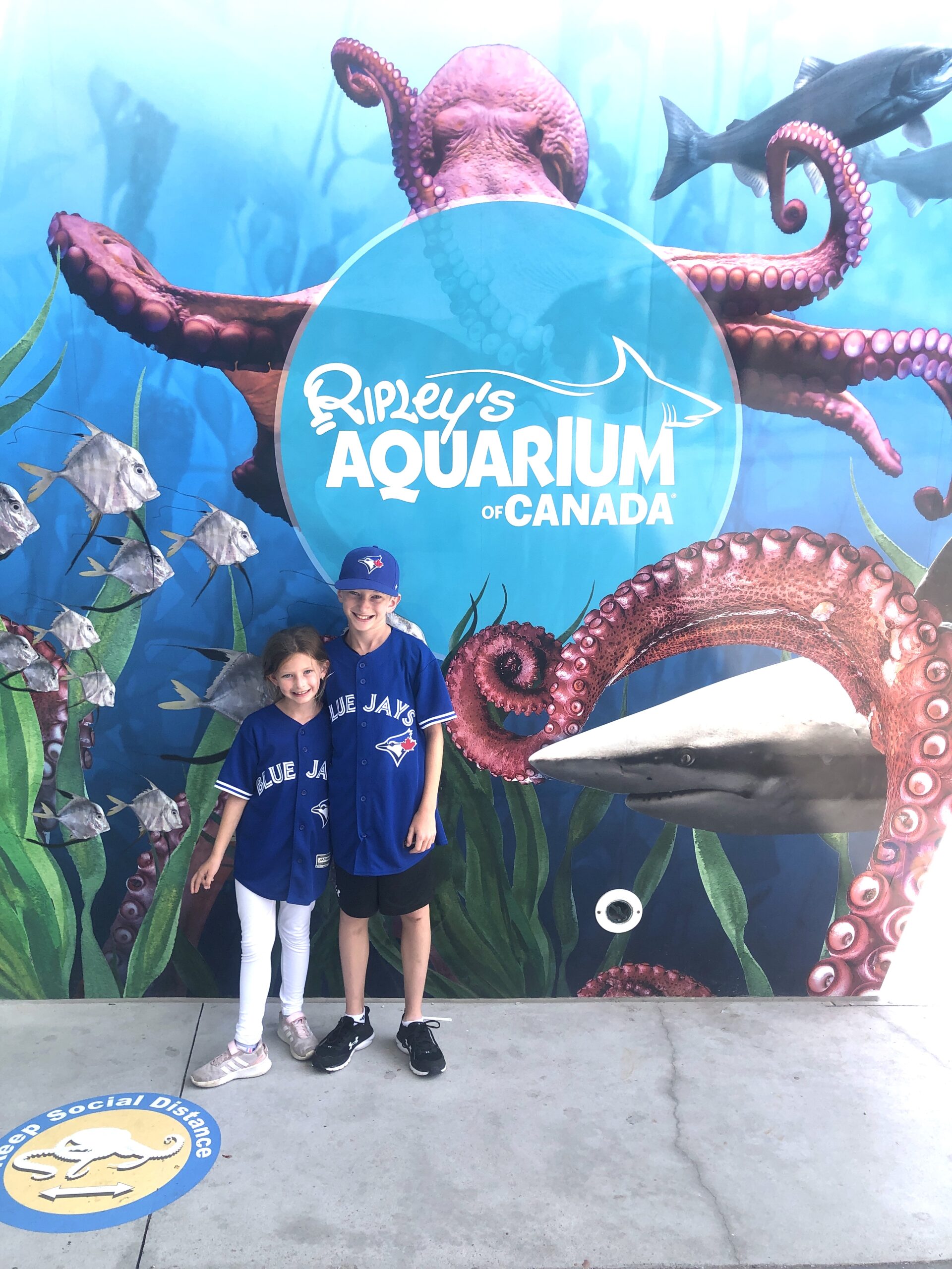 Ripleys Aquarium Review on Livin' Life with Style