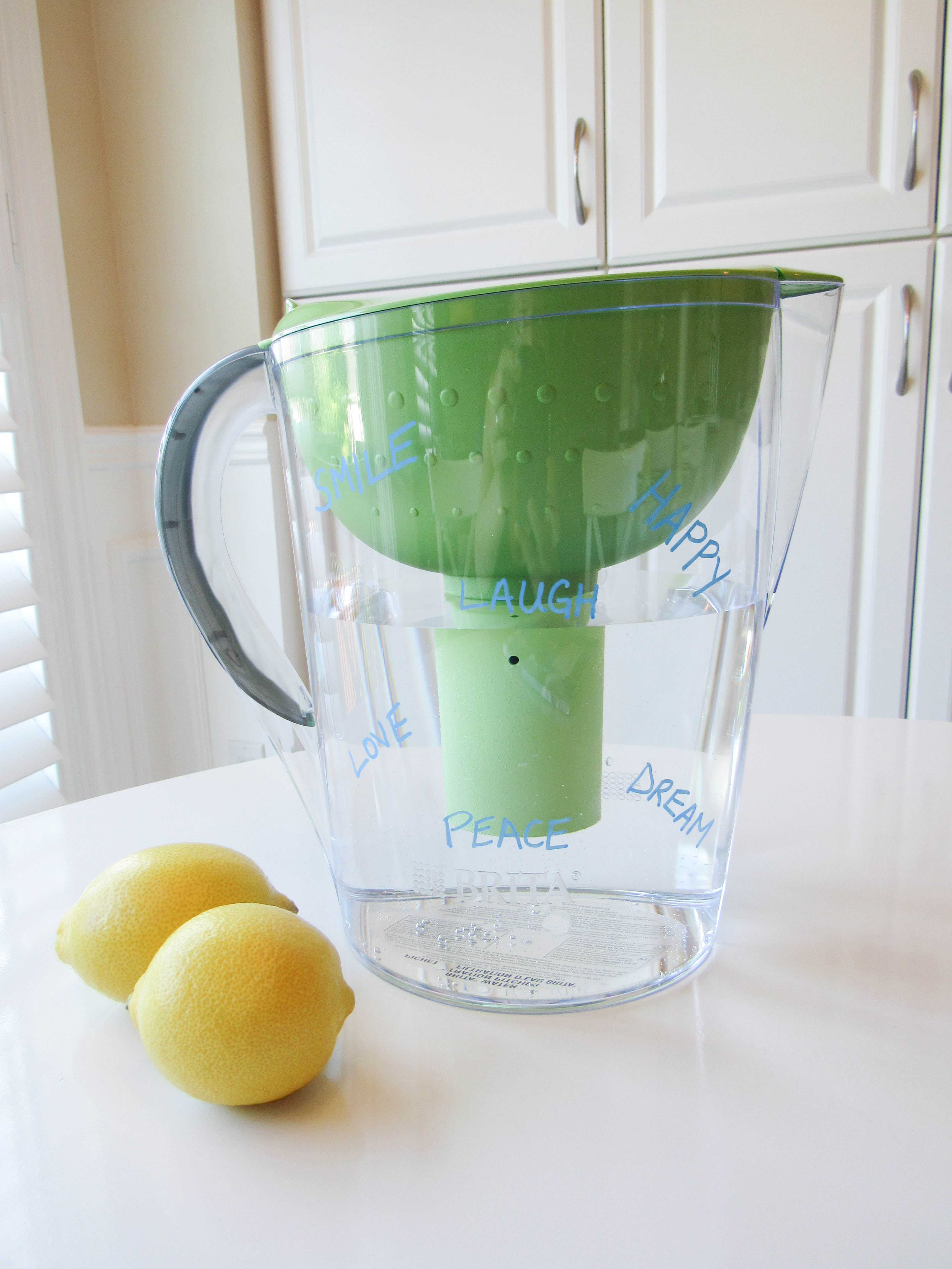 Brita Water Filter- Livin' Life with Style