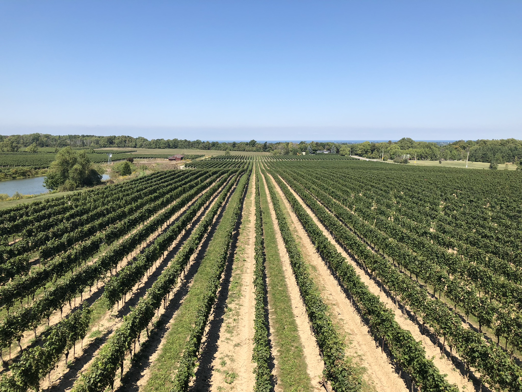 Flat Rock Cellars Tour with Crush Wine Tours 