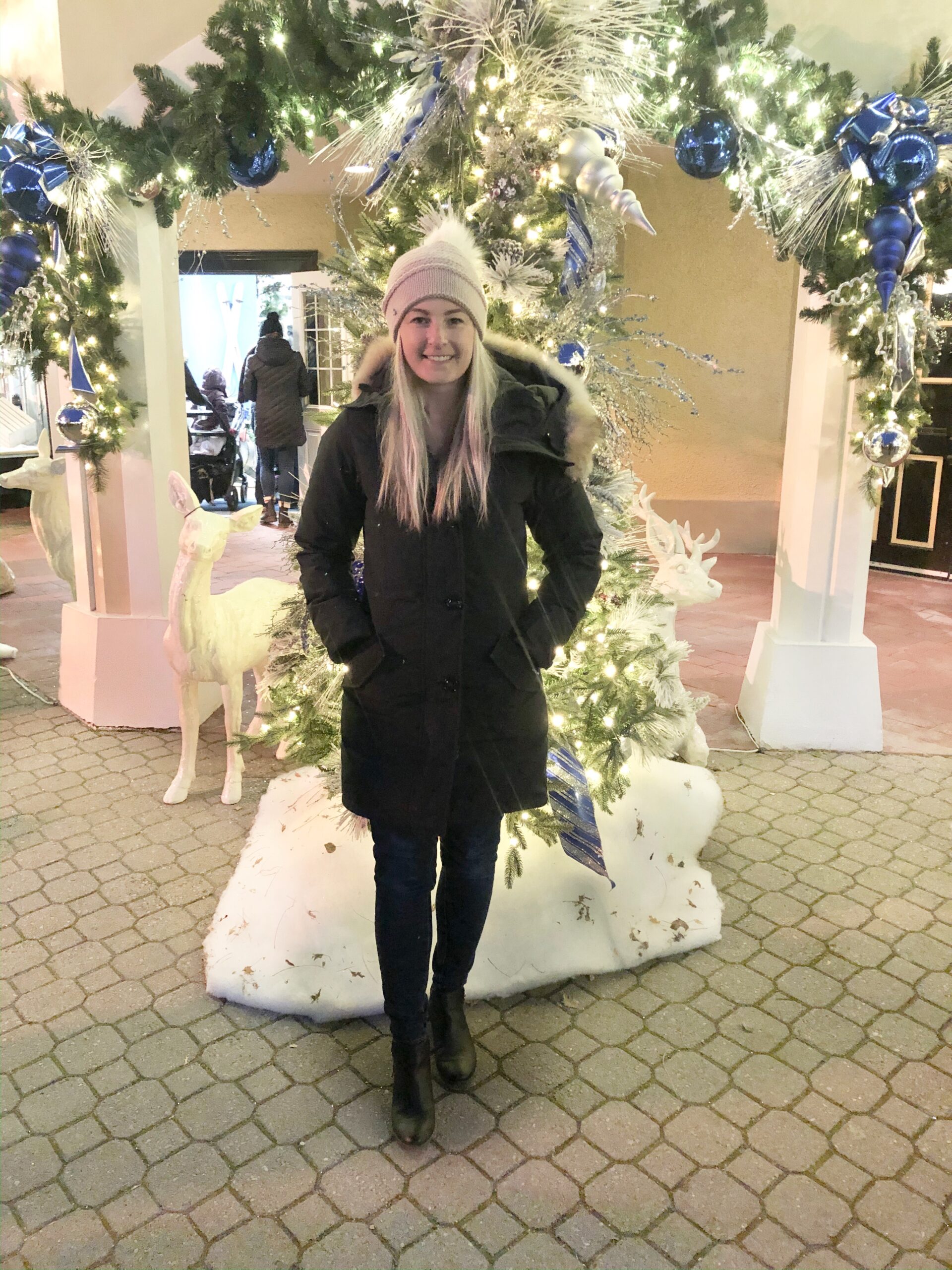 Winterfest at Wonderland 2019 on Livin' Life with Style